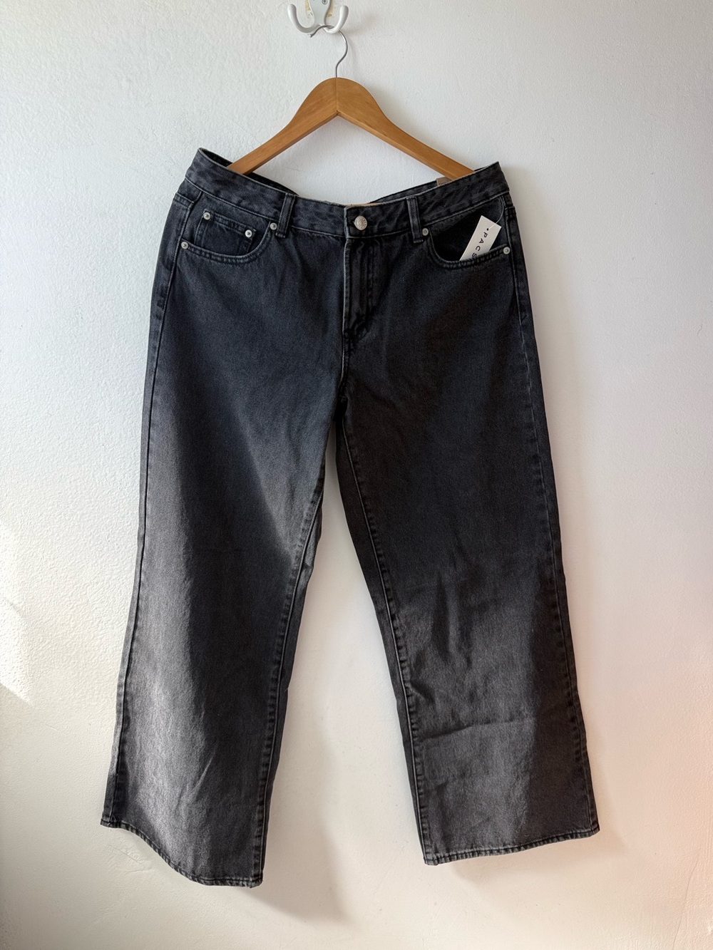 PacSun Casey Low Rise Baggy Wide Leg Jeans